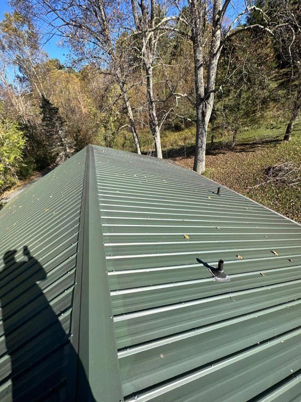 A green metal roof with trees in the background.