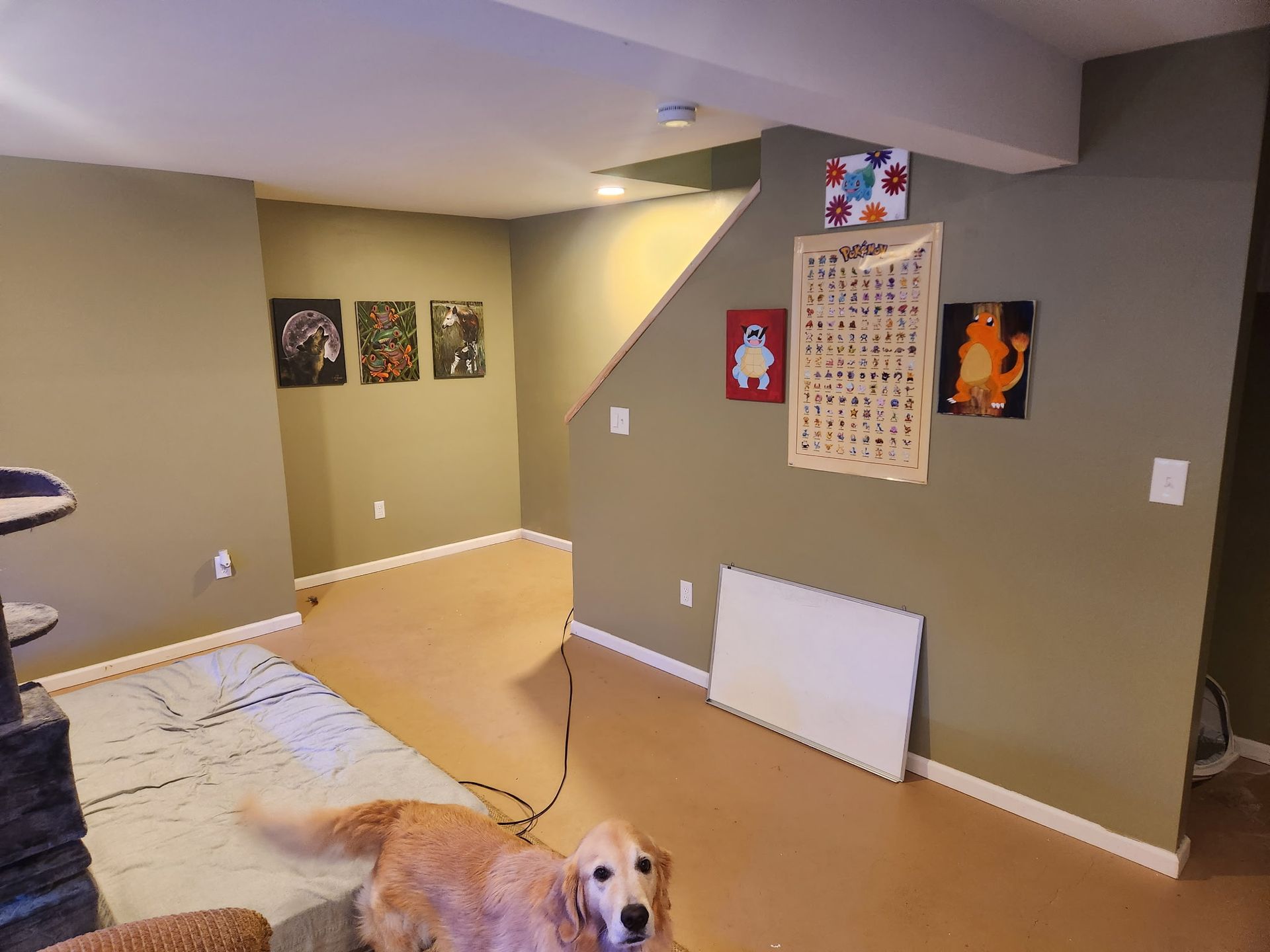 Golden retriever in a sage green room with artwork on the wall and a staircase in the background.