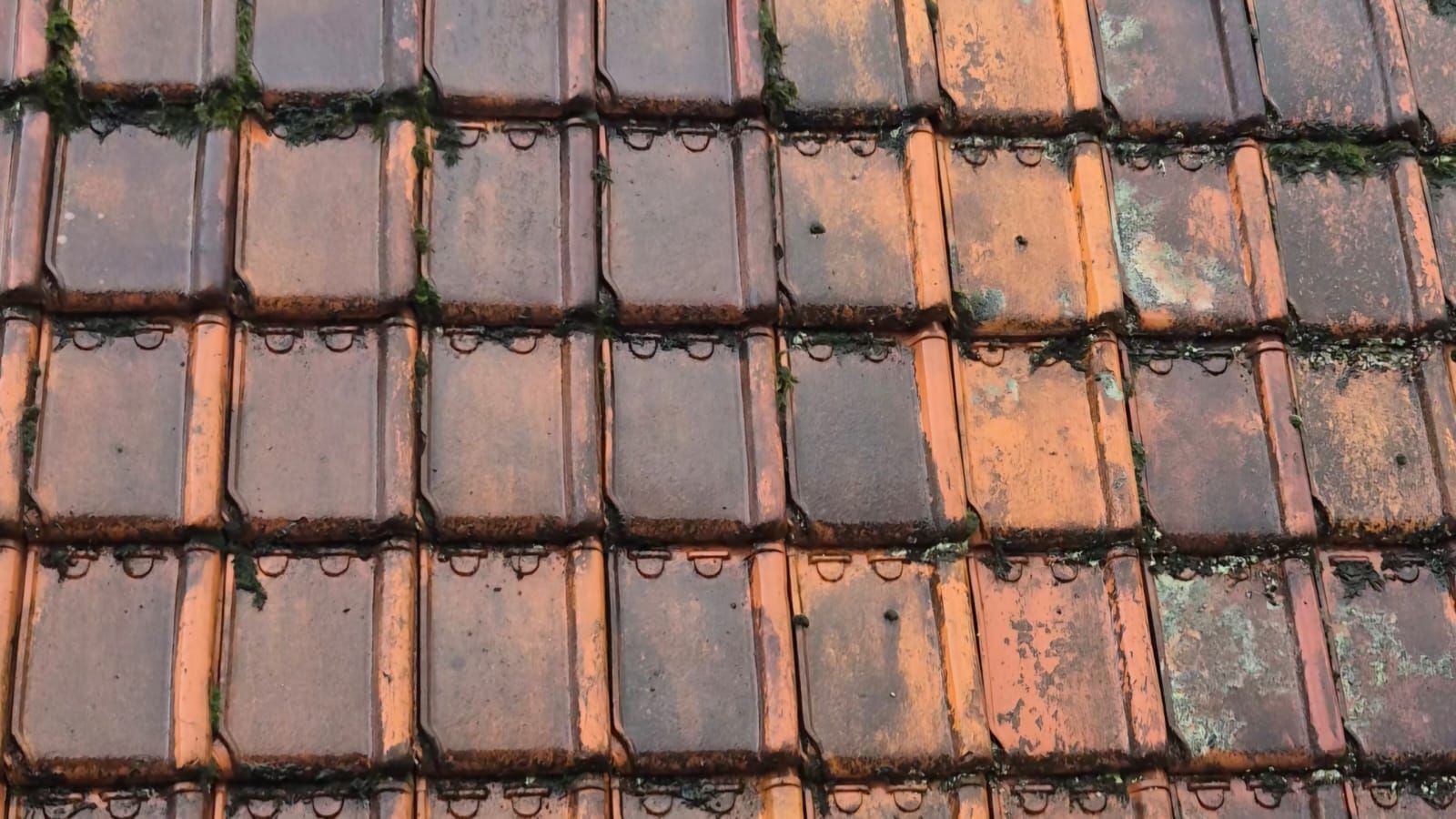 dakpannen reiniging ervoor