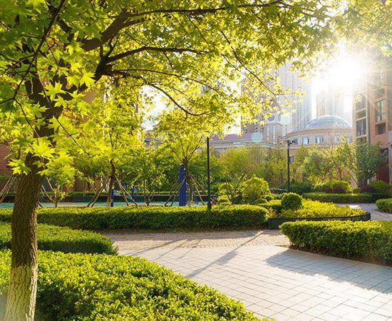 Amazing View — New Berlin, WI — Potter’s Tree Service
