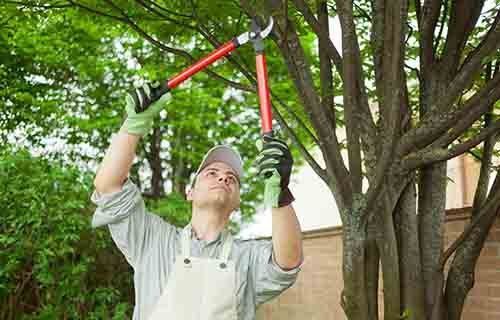 Man Cutting Trees — New Berlin, WI — Potter’s Tree Service