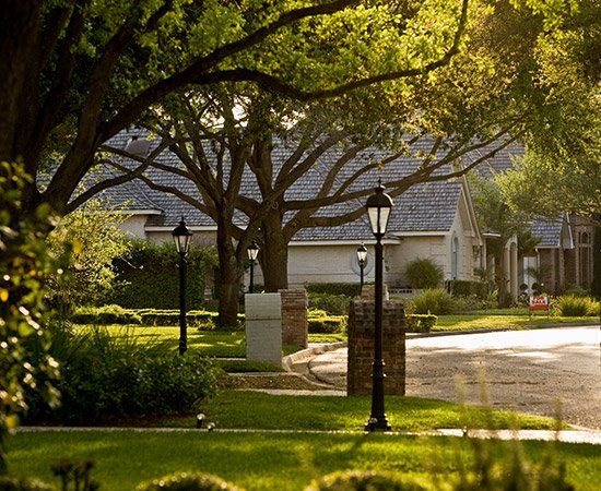 Trees Beside The Houses — New Berlin, WI — Potter’s Tree Service