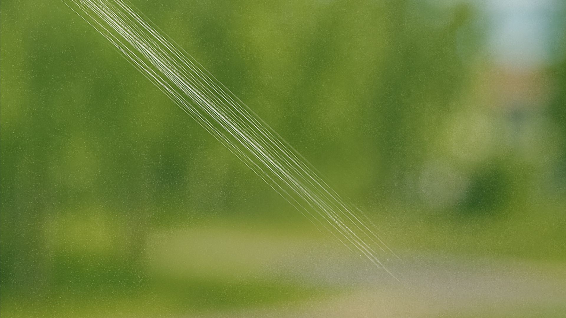 Streaks of white across a green blurred background, likely a window with marks.