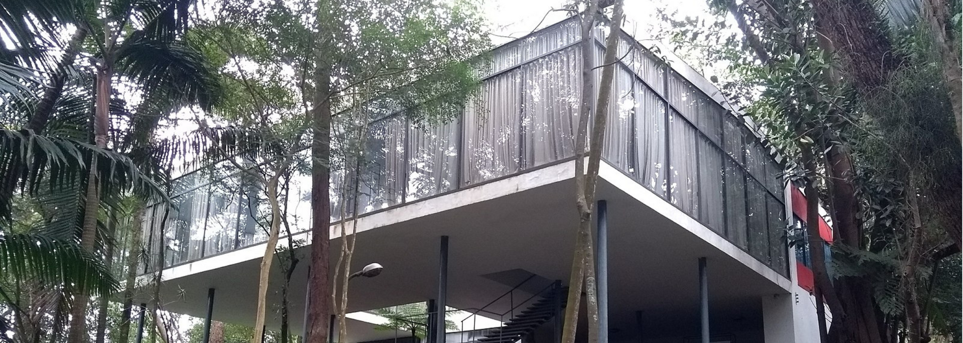 Modern building among trees with glass walls and a white platform.