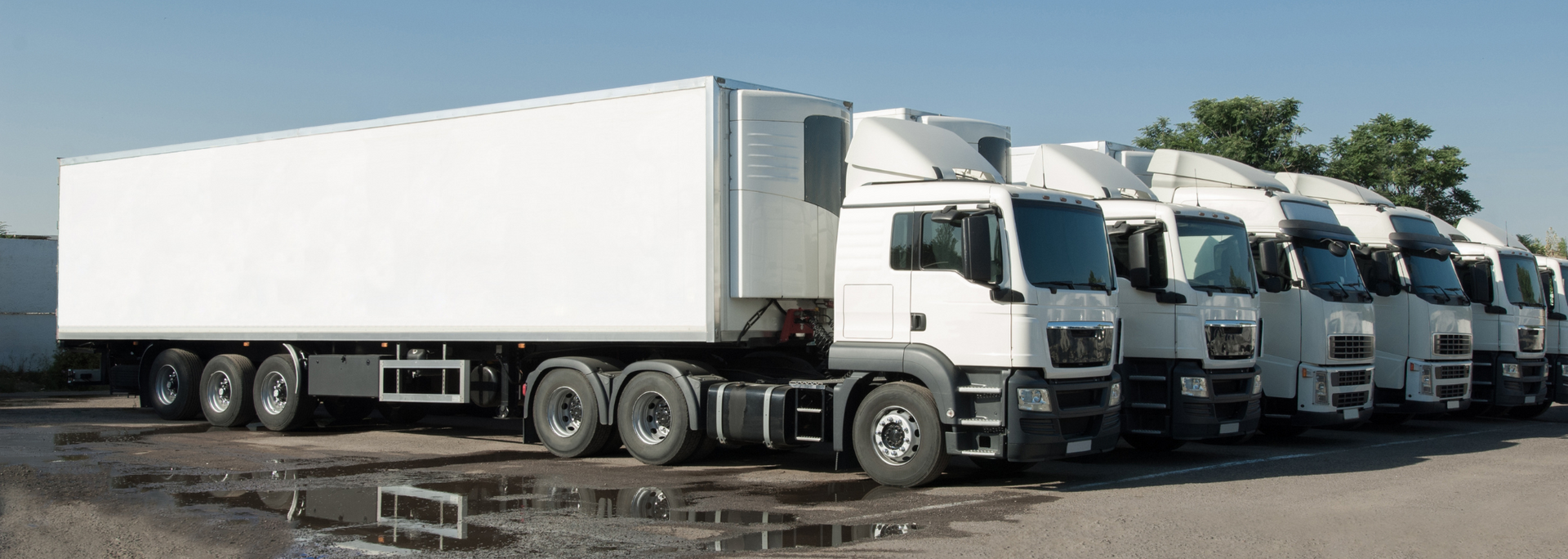 Row of white semi-trucks parked outdoors on a sunny day.