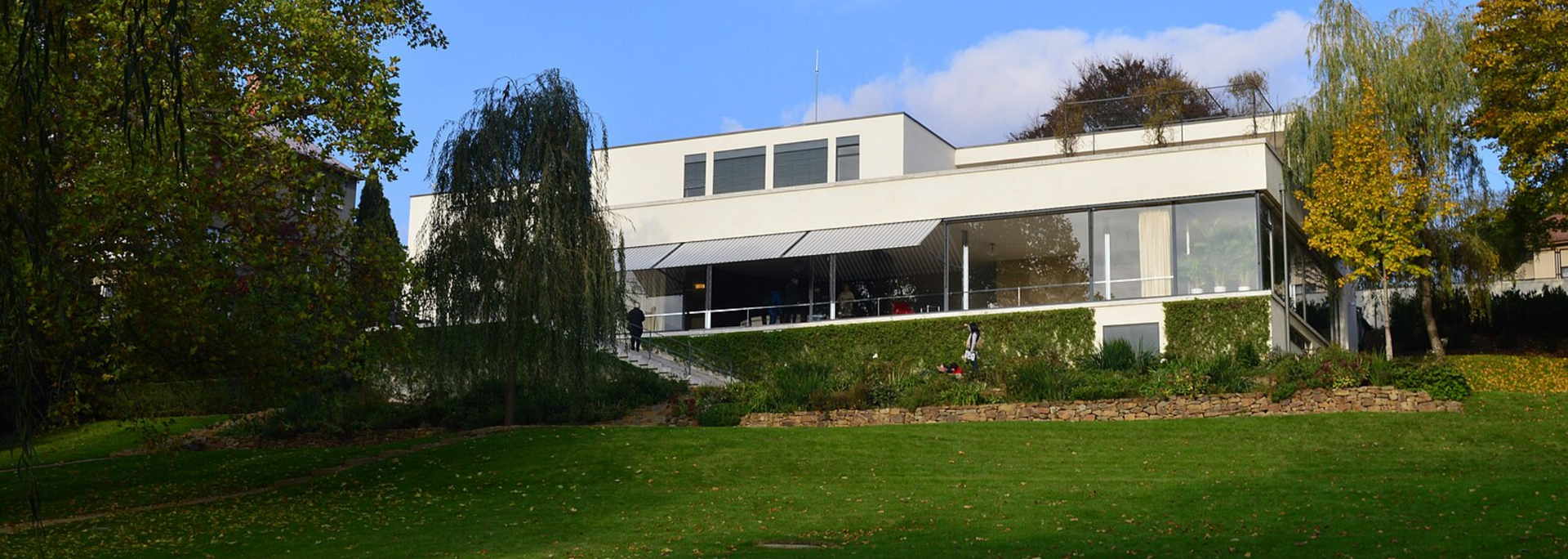 Modern white building with large windows and a grassy lawn, set amongst trees under a blue sky.