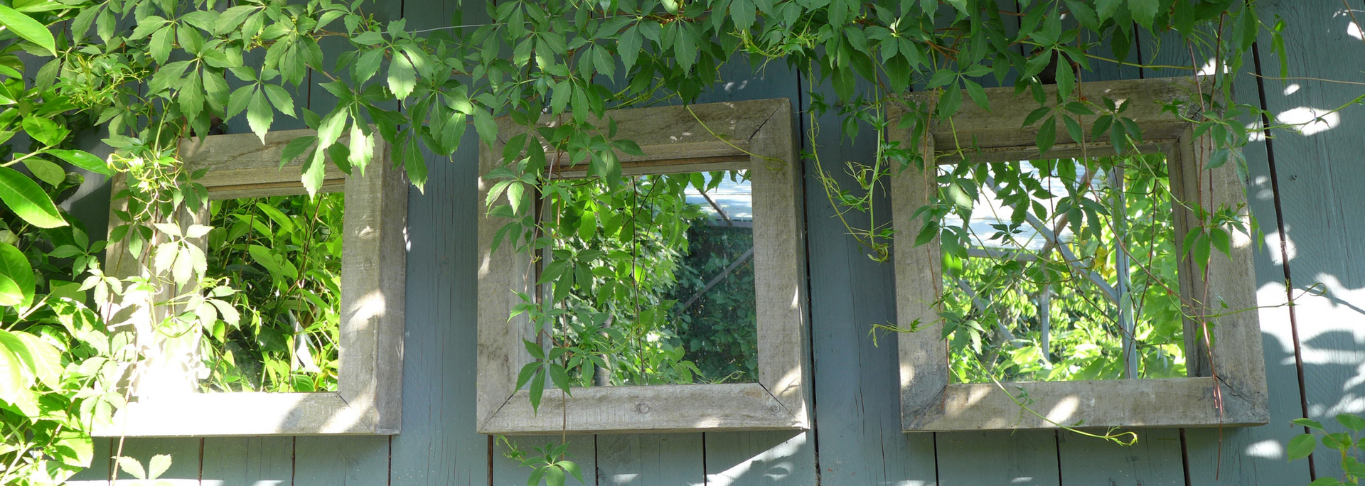 Three square mirrors on a wooden wall reflect leafy greenery. Overhanging vines partially obscure them.