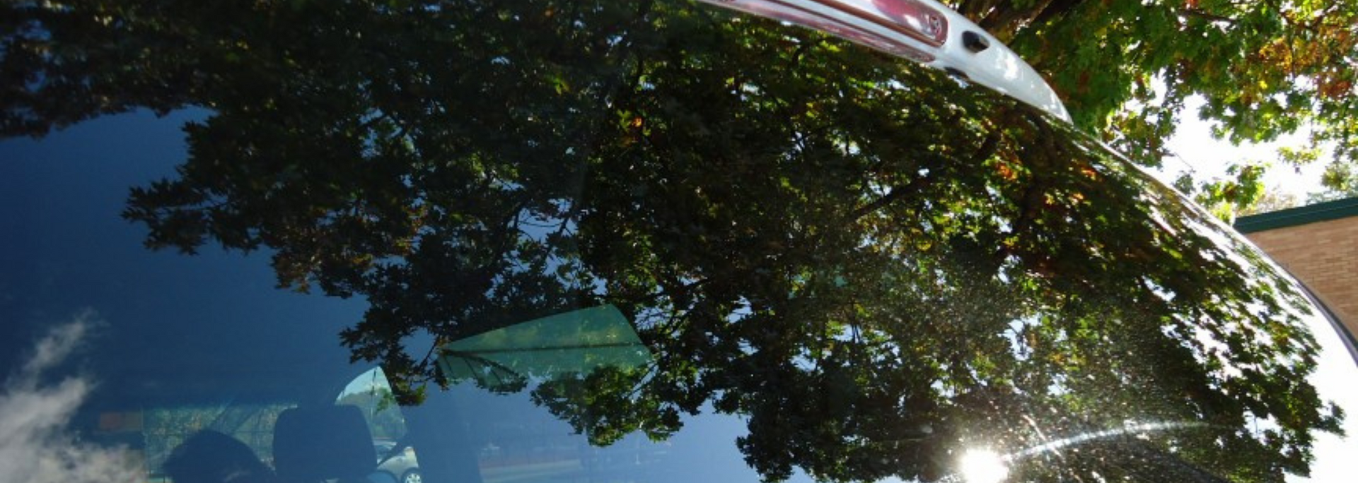 Black car roof reflecting a tree, blue sky, and sunlight.