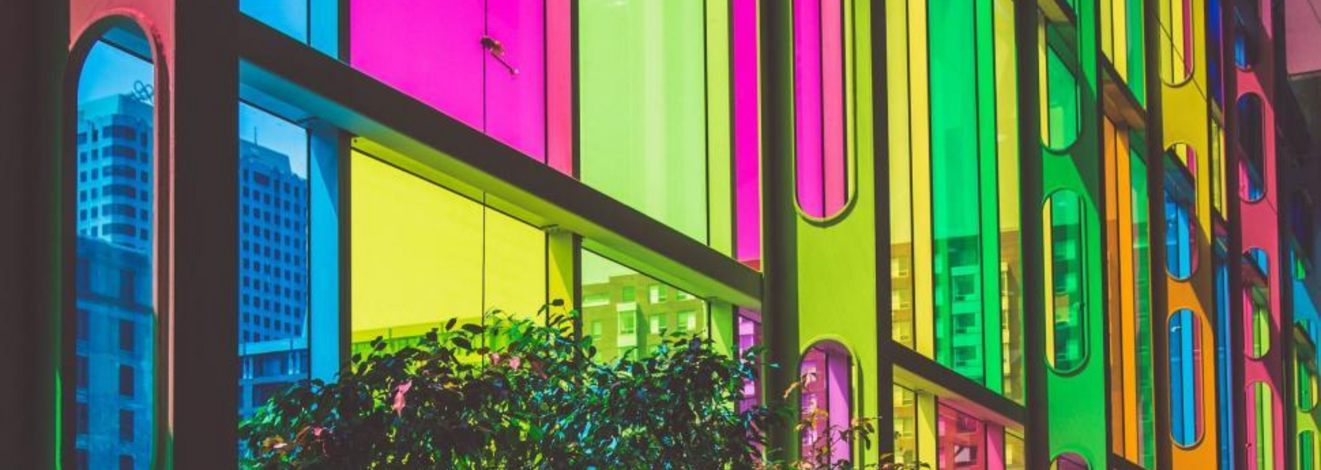 Colorful glass windows reflect a city skyline and plants, creating a vibrant, abstract composition.