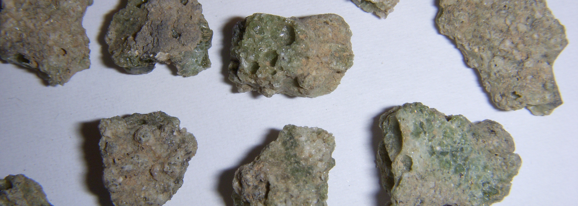 Close-up of several irregularly shaped, tan and greenish fragments on a white surface.