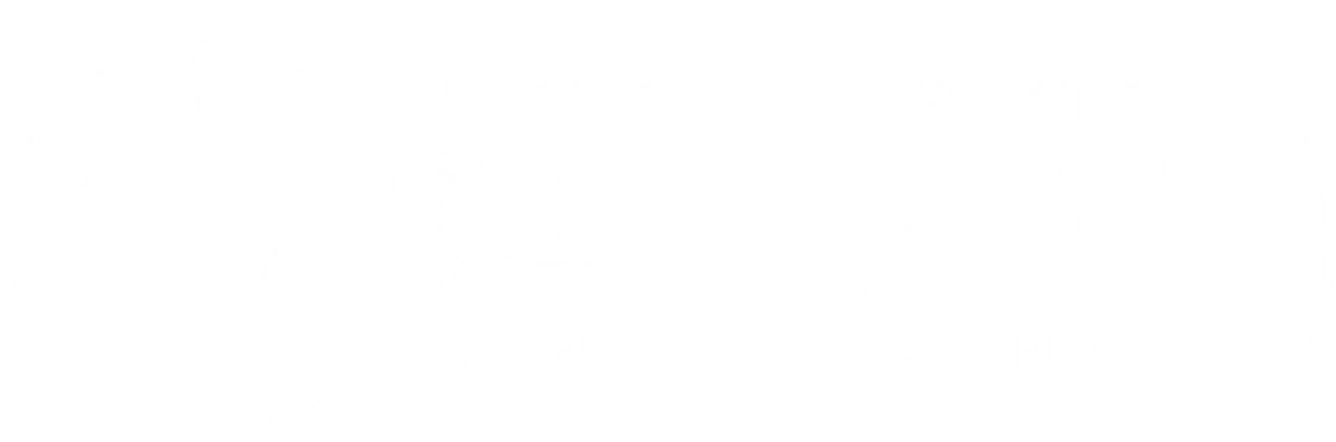 A logo with a white background and some grey details.