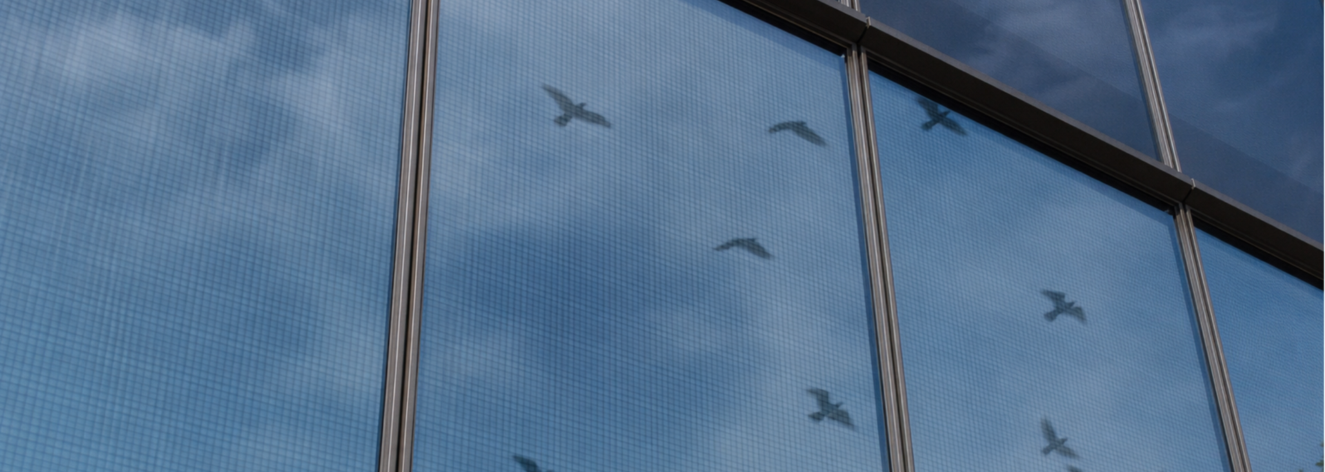 Picture of mesh-laminated glass on an outside wall. 