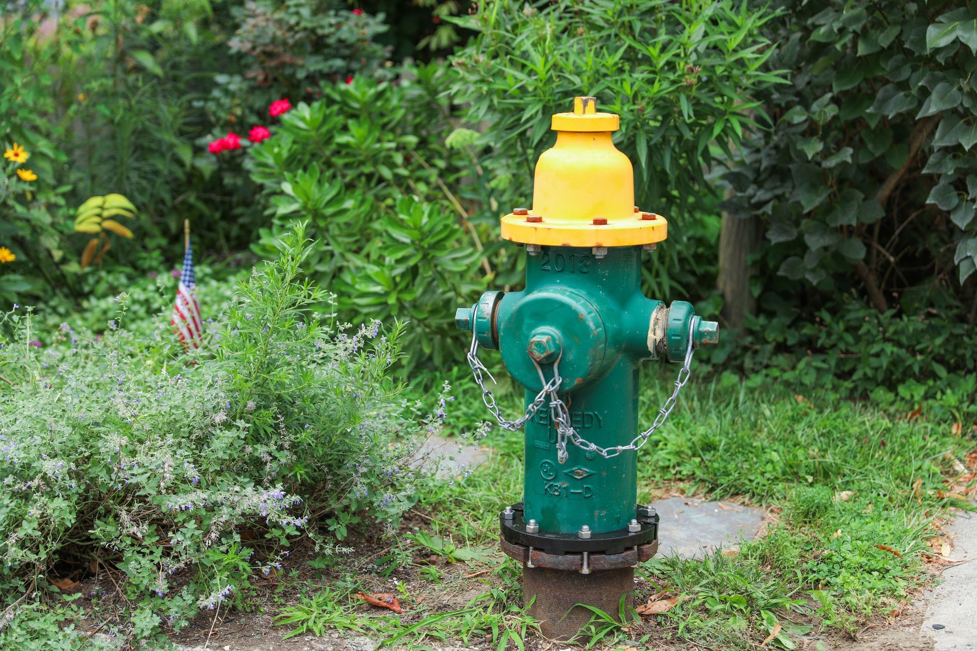 A green fire hydrant with a yellow top is sitting in the grass.