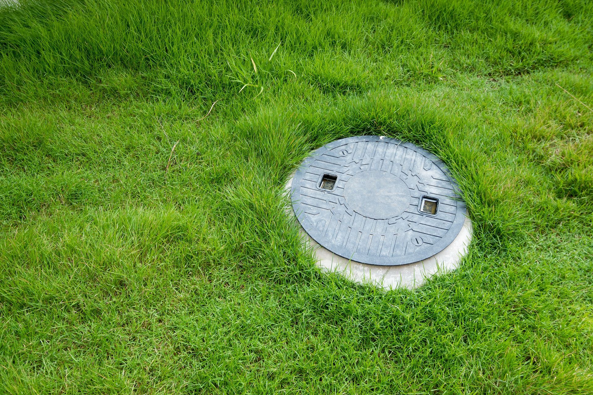 A manhole cover is sitting in the middle of a lush green field.