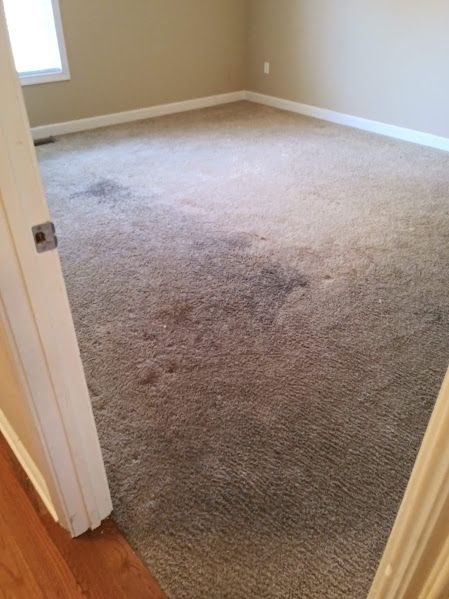 A bedroom with a carpeted floor and a doorway leading to it.