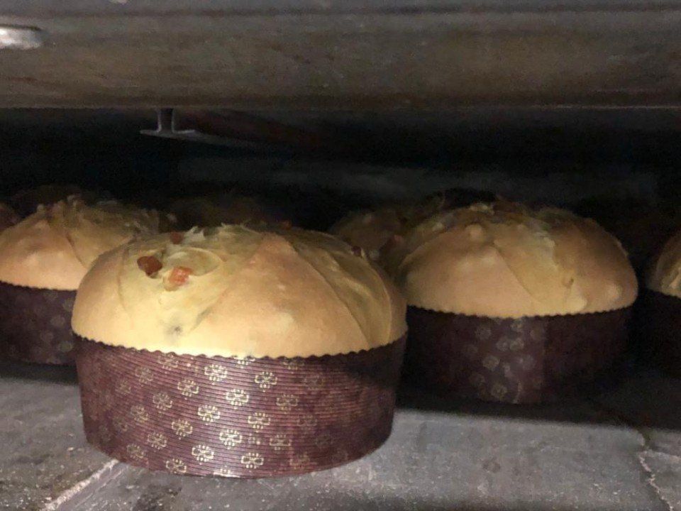 panettoni in forno