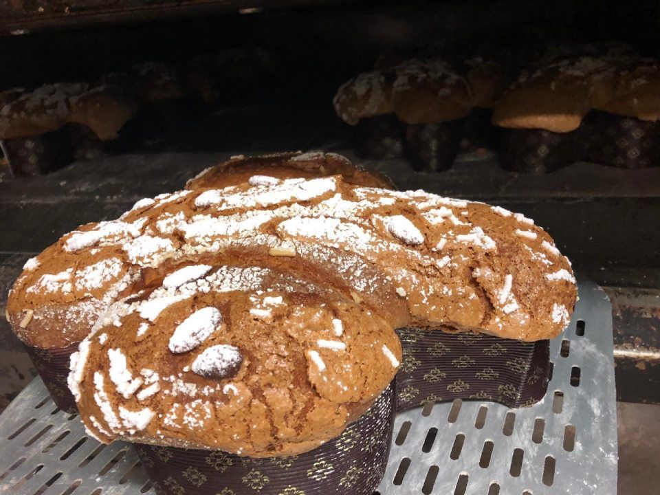 colomba pasquale