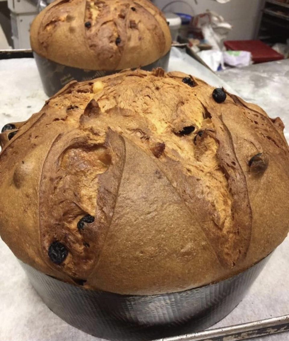 panettone a lunga lievitazione
