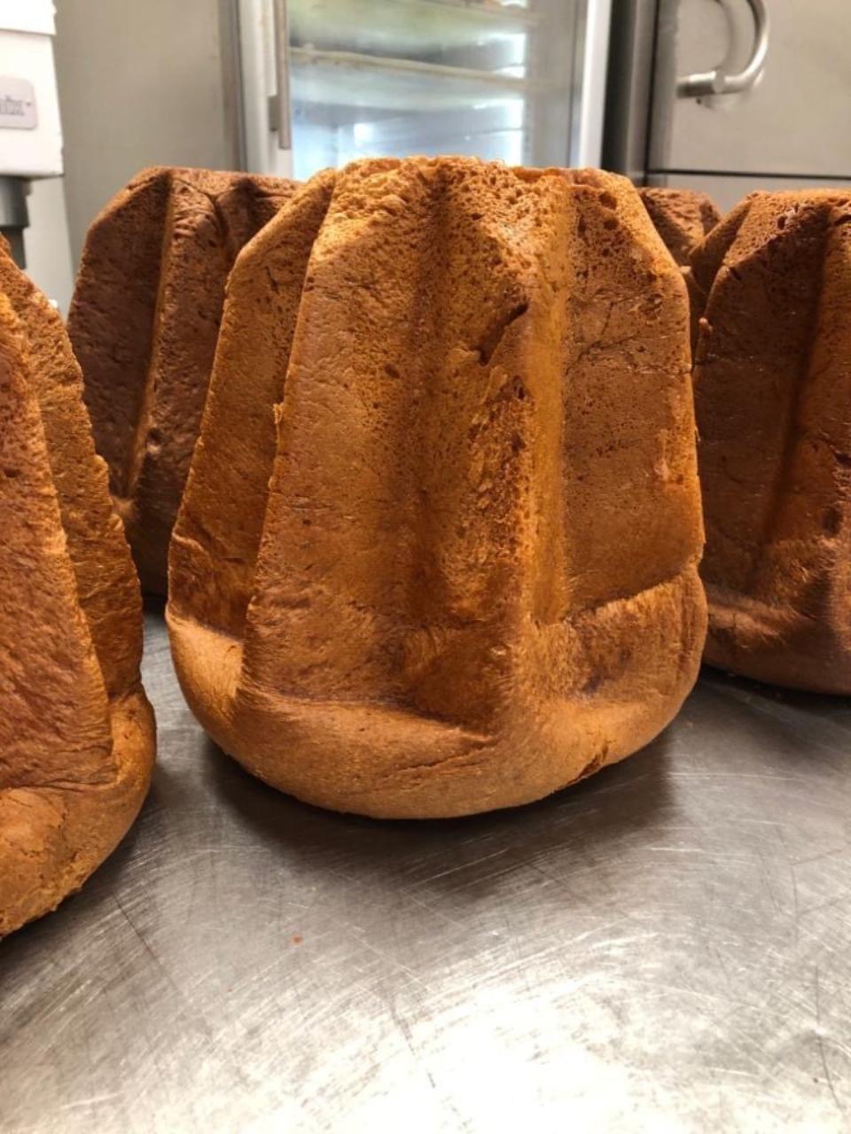 pandoro