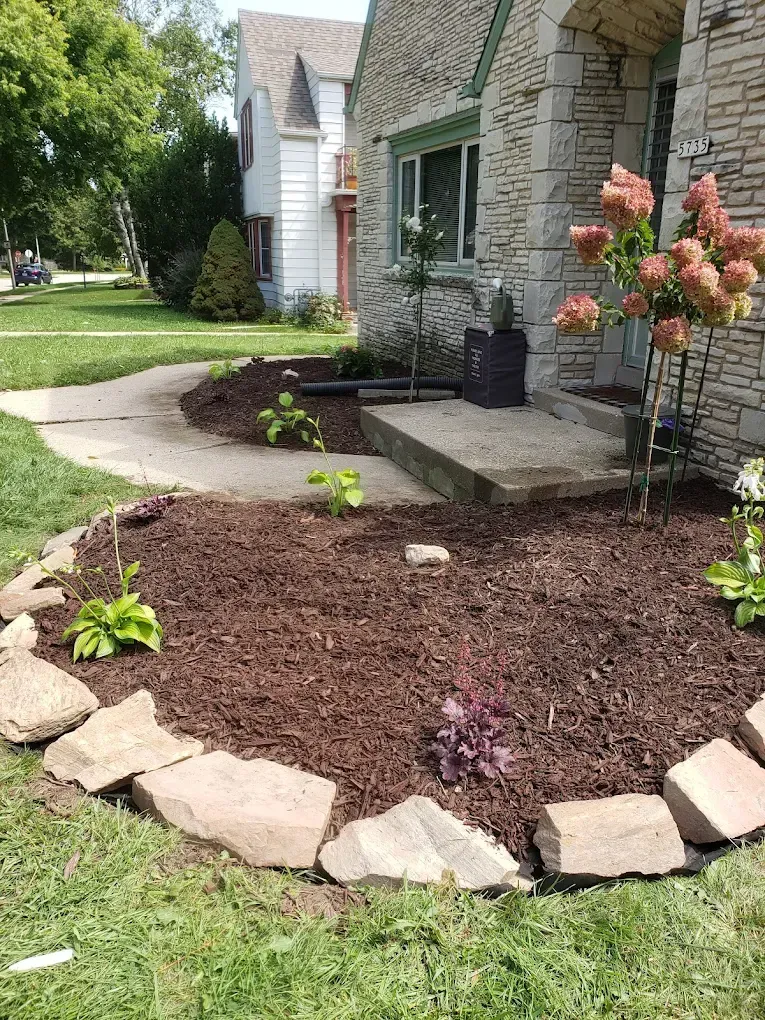 Front garden