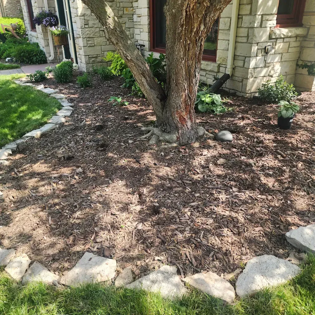 Garden with a tree