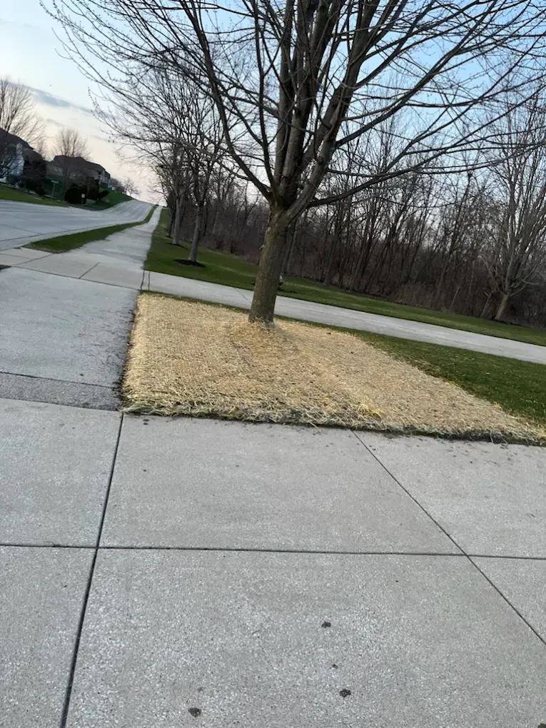 Sidewalk