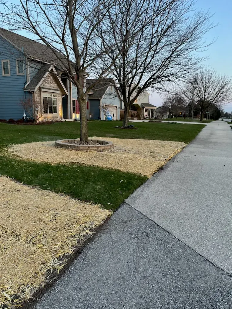 Front garden