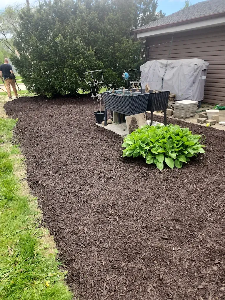 Backyard gatden