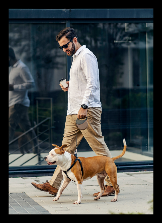 A man is walking a dog on a leash while holding a cup of coffee.