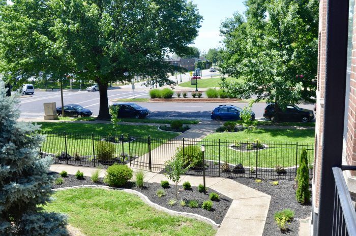 A Gated Community at The San Carlos