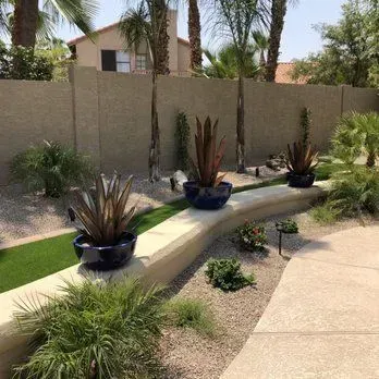 Landscaped backyard with planters against a concrete wall, palm trees, and gravel.