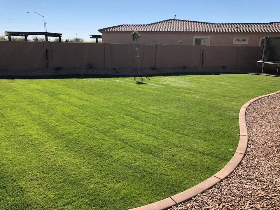 Lush green lawn with neat mowing stripes, bordered by gravel and a tan wall; a house in the background.