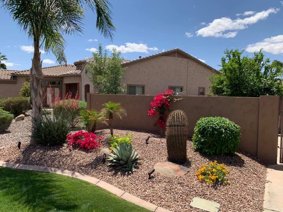 Front yard landscaping with desert plants, tan wall, and light brown gravel. Blue sky with a house in background.