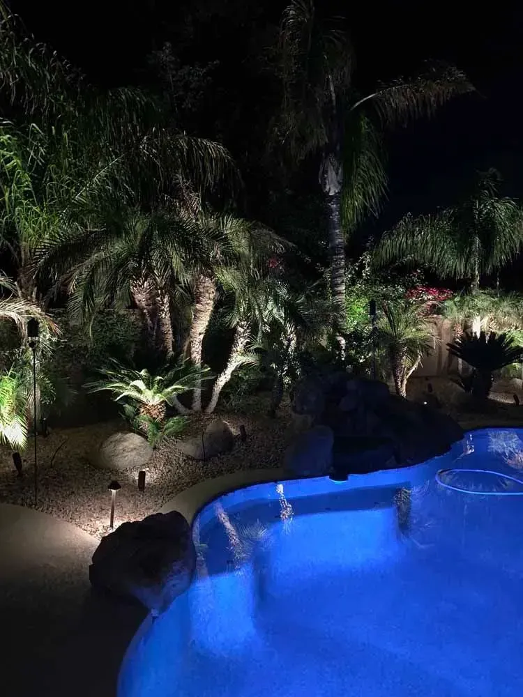 Nighttime view of a pool with blue water and illuminated landscaping, including palm trees and rock features.