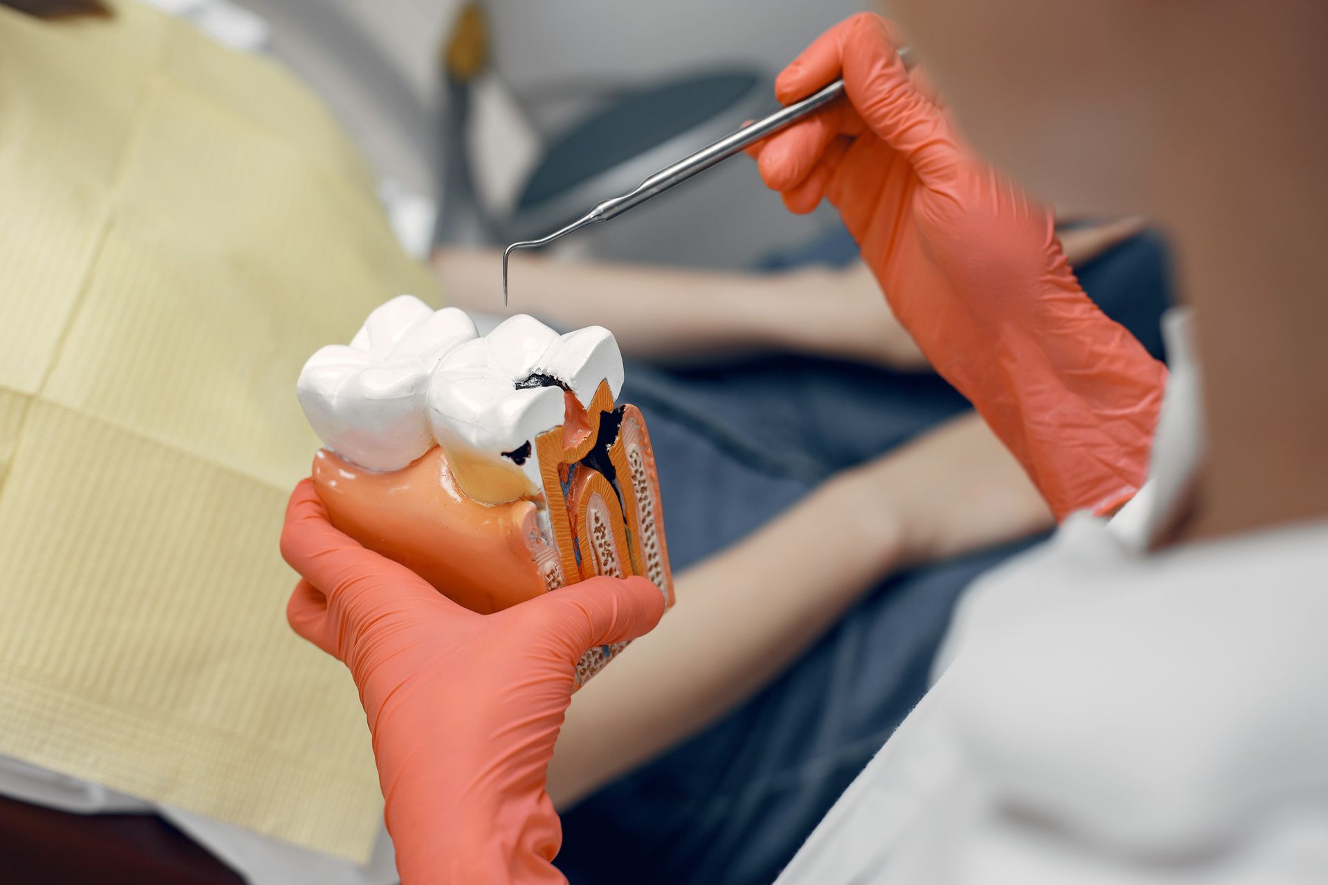 A dentist is examining a model of a tooth with a drill.
