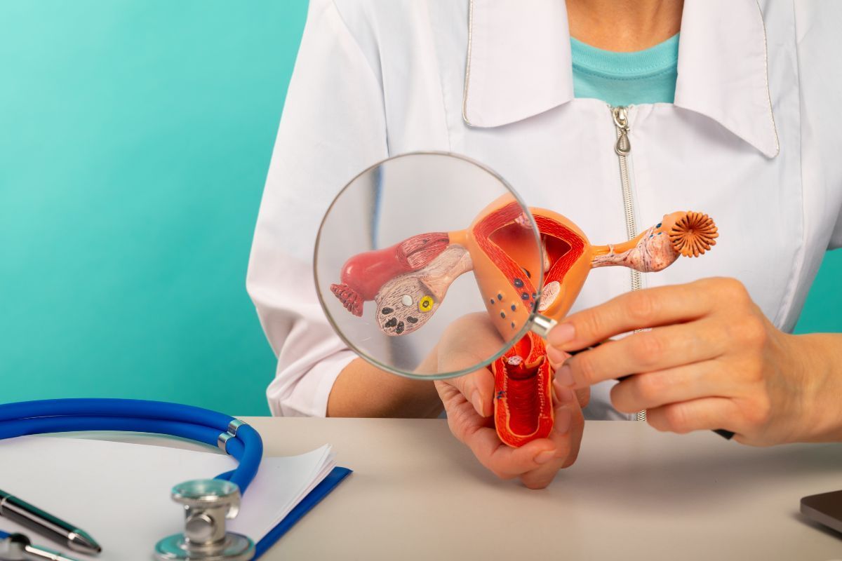 Falência ovariana prematura ou insuficiência ovariana primária: como proceder?