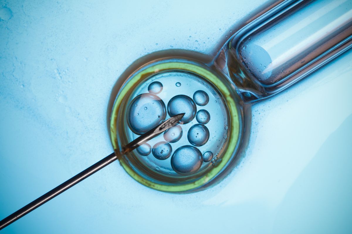 gestacao-gemelar-fatores-dra-juliana-ribeiro-ginecologista-sao-paulo