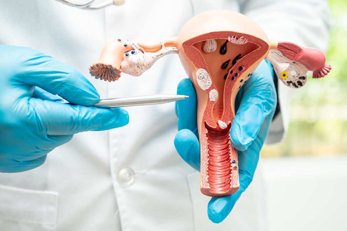 ultrassonografia-transvaginal-diagnostico-dra-juliana-ribeiro-ginecologista-sao-paulo