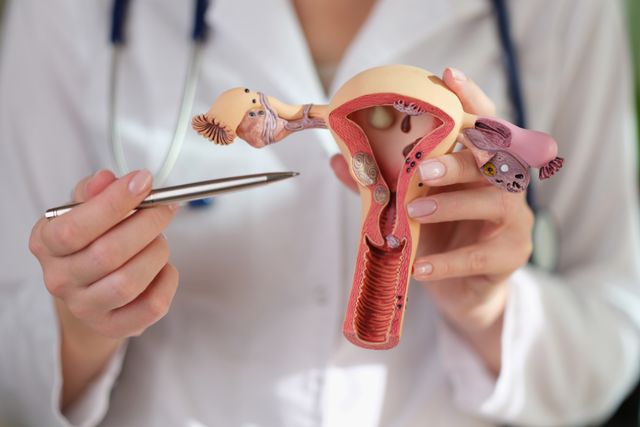Malformações - Clínica Wajman - Cirurgias no útero