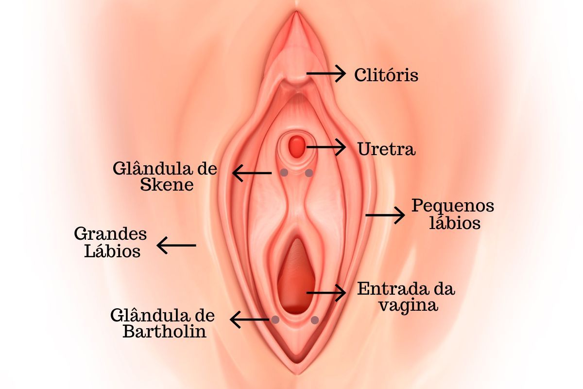 Cisto de bartholin fotos reais