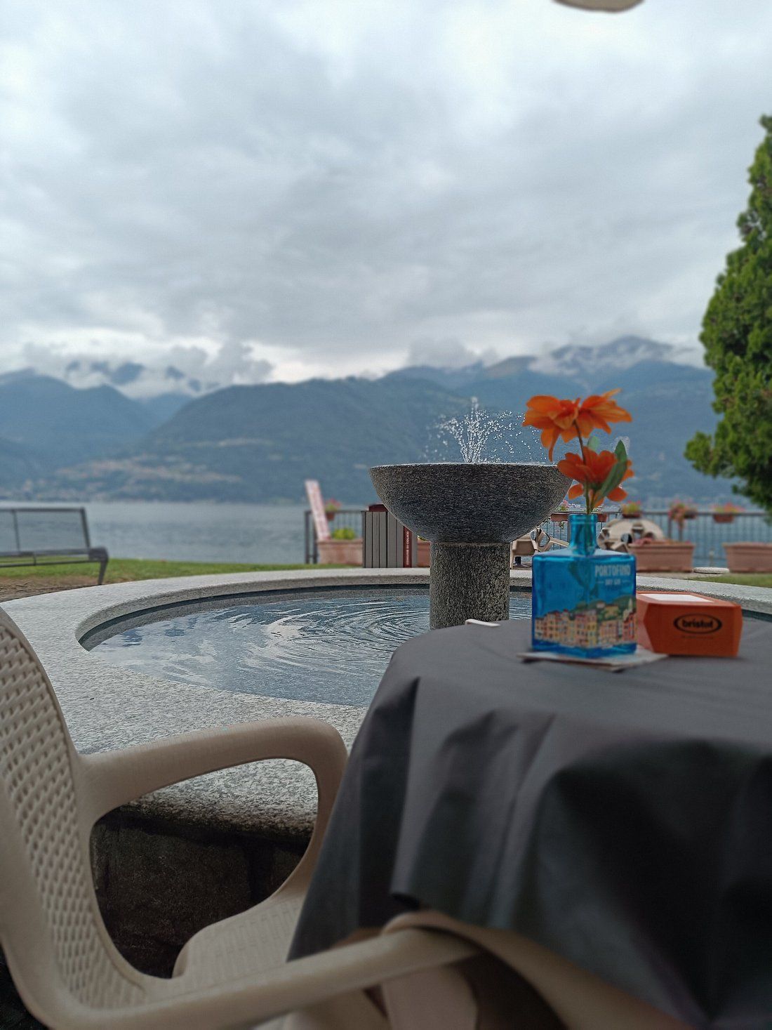 Tavolo con fiori a bordo piscina, con vista sul lago e sulle montagne sotto un cielo nuvoloso.