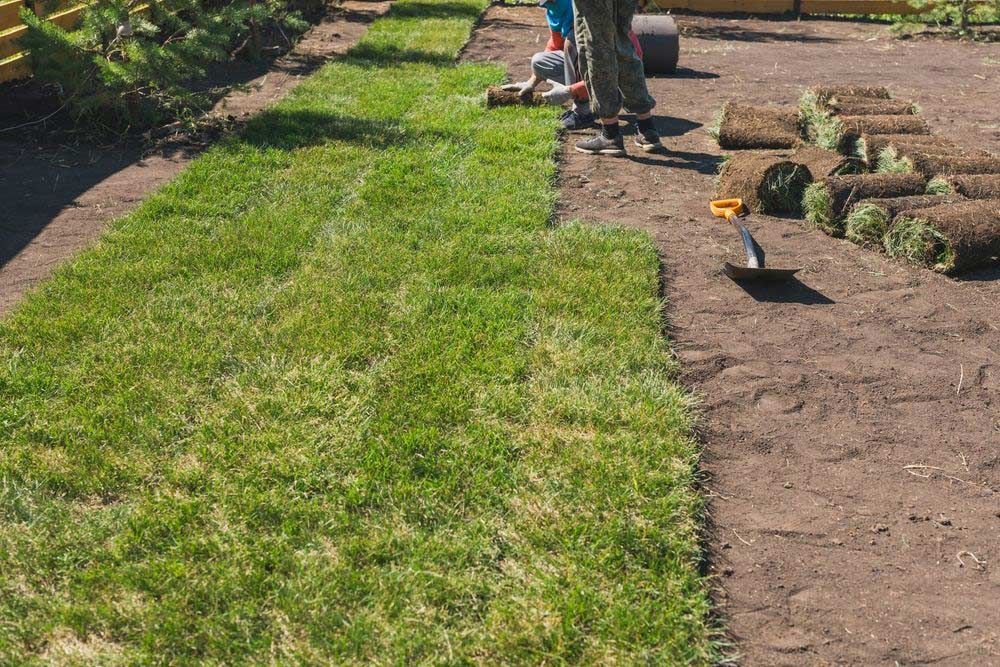 Building And Laying Lawn Garden — Aussie Turf Supplies In Port Macquarie NSW