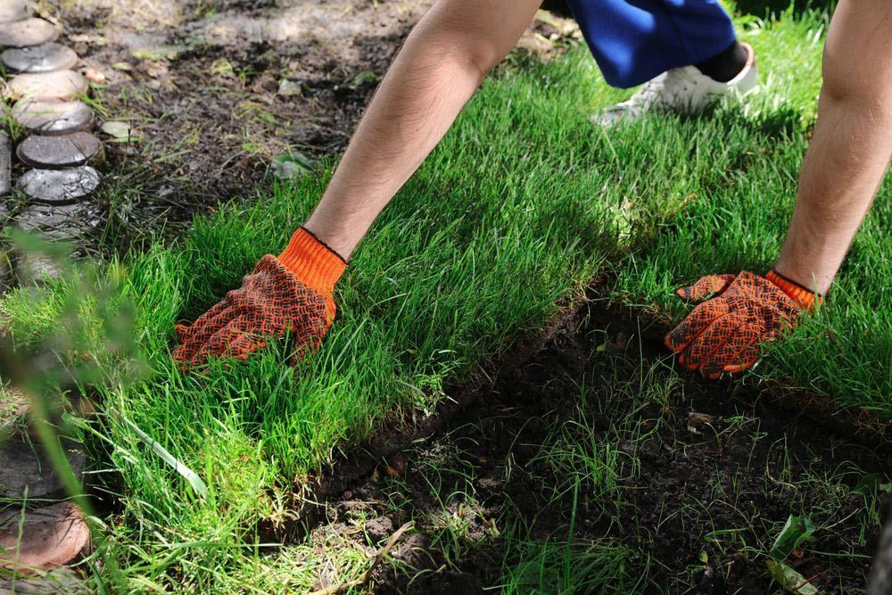 Gardener With Orange Gloves Laying Grass In The Backyard — Aussie Turf Supplies In The Hunter Valley NSW