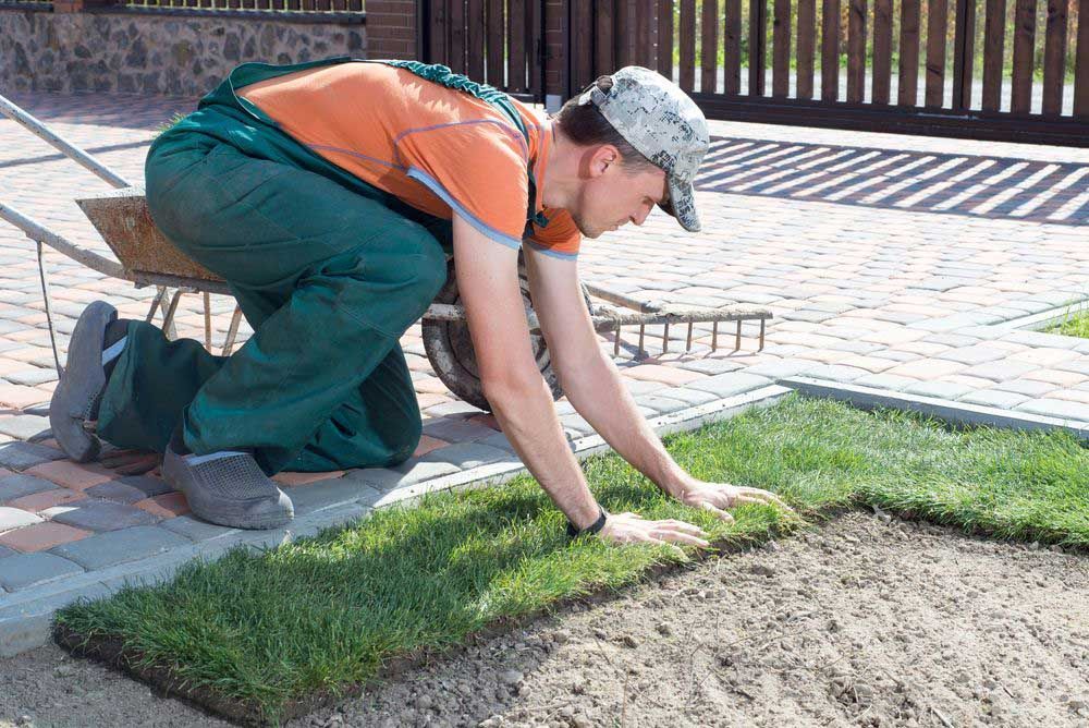 Professional Turf Installer — Aussie Turf Supplies In Newcastle NSW