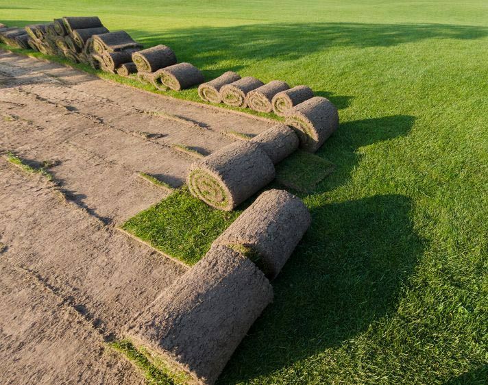 Rolls Of Lawn Grass On A Golf Course — Aussie Turf Supplies In The Hunter Valley NSW