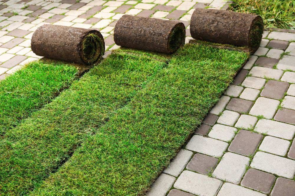 Three Rolls Of Grass Turf — Aussie Turf Supplies In Port Macquarie NSW