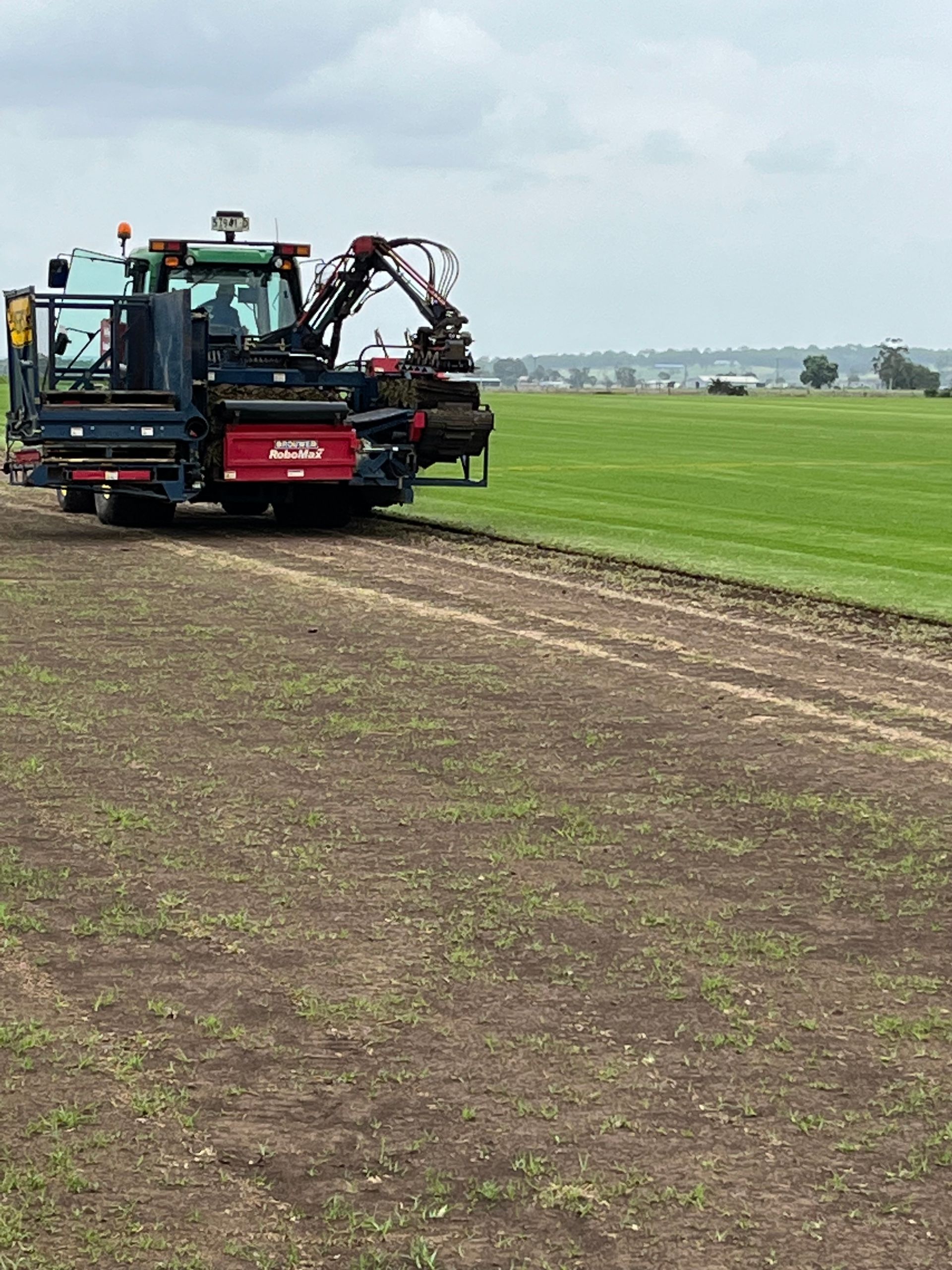 Beautiful Green Turf Scenery — Aussie Turf Supplies In Minmi NSW