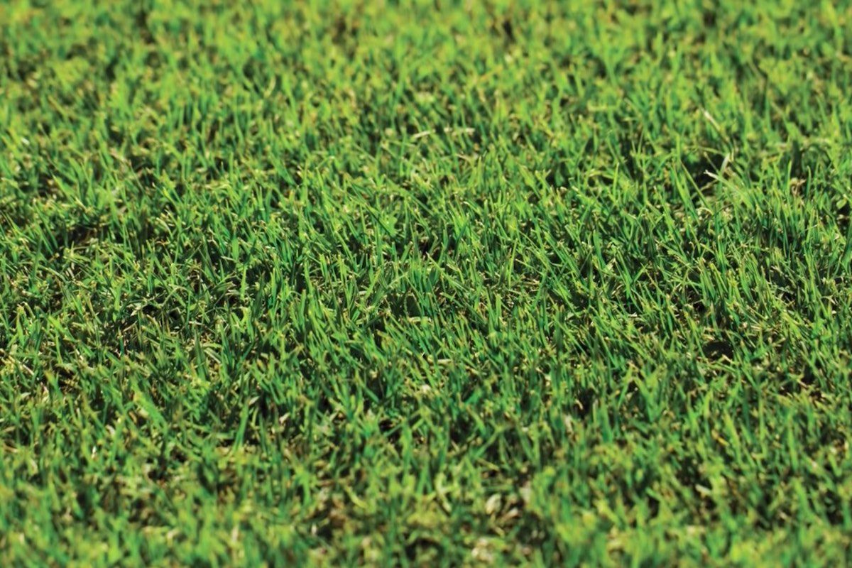 Grass Turf Tennis Court — Aussie Turf Supplies In Minmi NSW