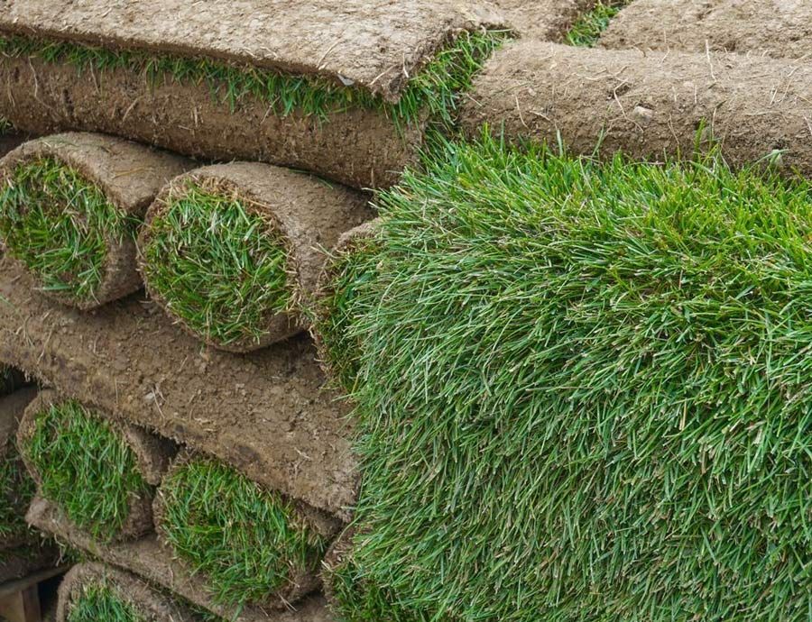Stacking Turf Roll For Gardening And Landscaping — Aussie Turf Supplies In Port Macquarie NSW
