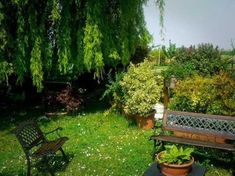 Giardino della casa di riposo